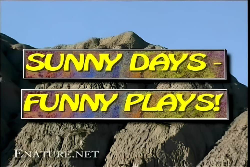 Enature - Sunny Days – Funny Plays - Nudity is a part of life without shame