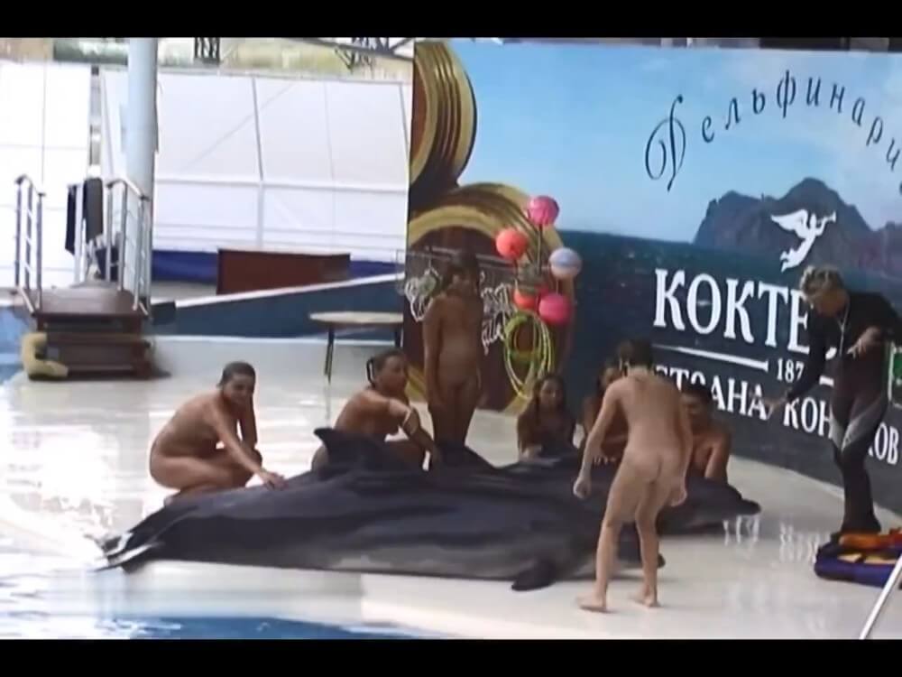 Relaxing at the dolphinarium - The entire upper aristocracy practiced nudism