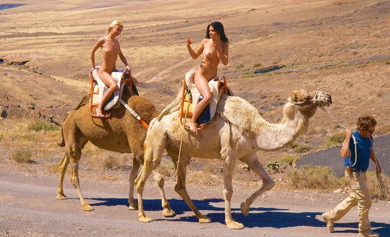Funny Moments Life pics - Admission Permitted Only in the Nude